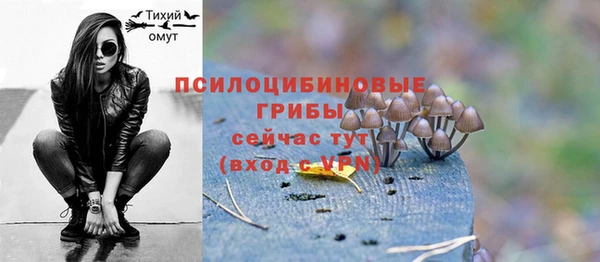 прущие крисы Бугульма