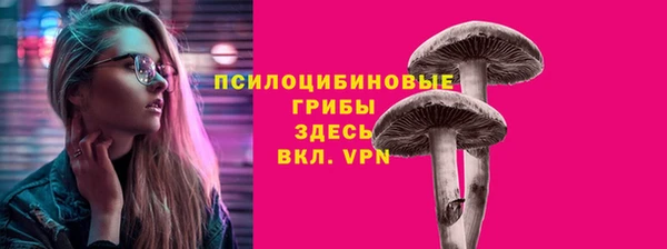 прущие крисы Бугульма